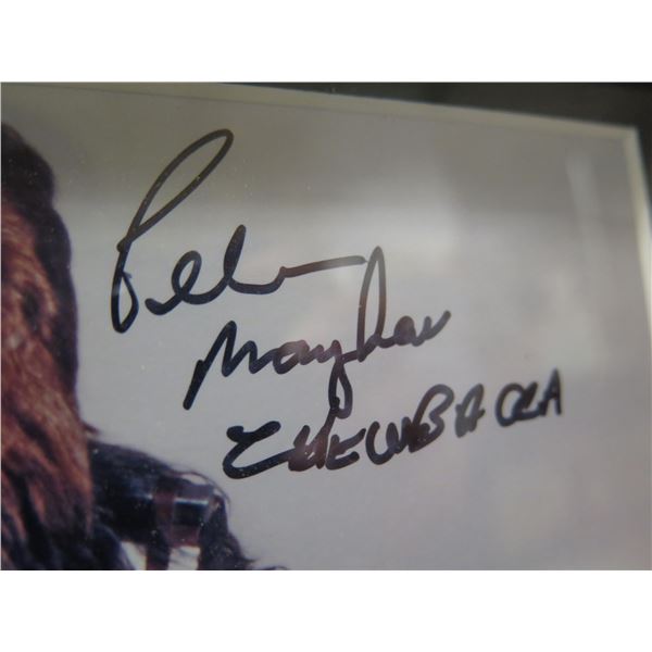 Peter Mayhew 