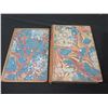 Image 2 : Qty 2 Books: Strange Dwellings by Rev. J.G.Wood 1882 & Tom Jones of L'Enfant Trouve