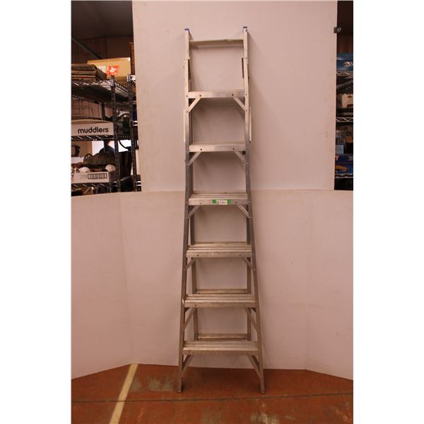 *Lite Portable Extension Ladder - 160"