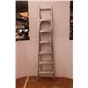 Image 1 : *Lite Portable Extension Ladder - 160"