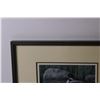 Image 2 : Framed Art - Loon with Chick by Don Li-Leger