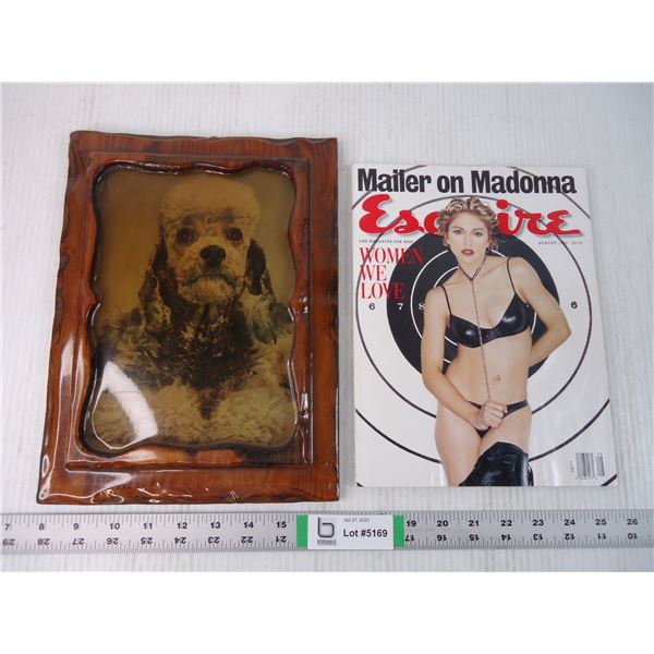 Esquire Magazine Featuring Madonna and Dog Picture