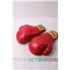 Image 1 : Pair of Everlast Boxing Gloves