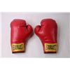 Image 2 : Pair of Everlast Boxing Gloves