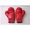 Image 3 : Pair of Everlast Boxing Gloves