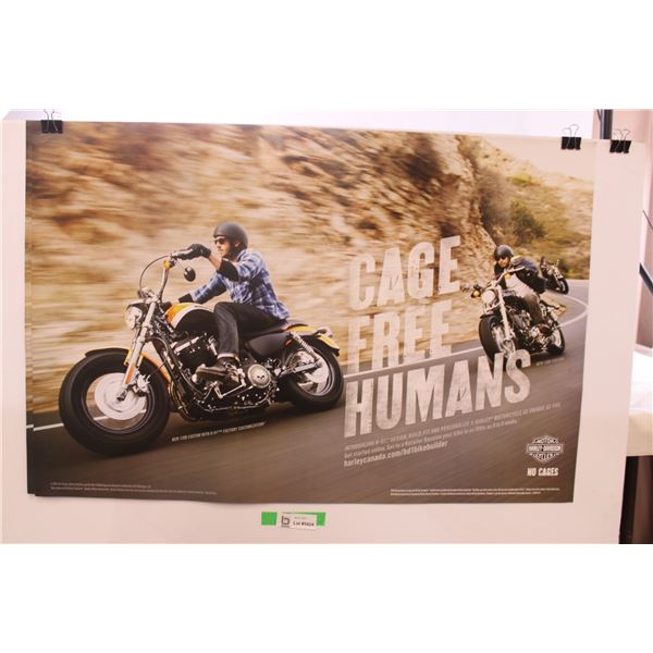 2xHarley Davidson Posters (Double Sided)