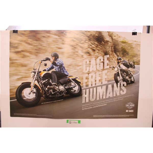 2xHarley Davidson Posters (Double Sided)