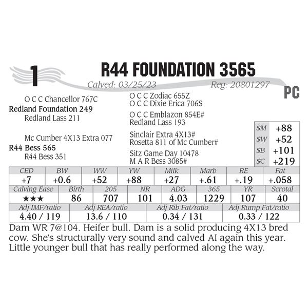 R44 Foundation 3565