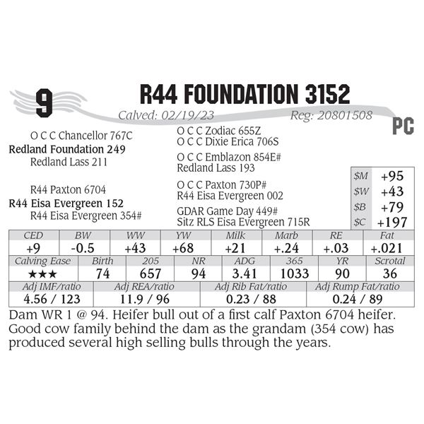 R44 Foundation 3152