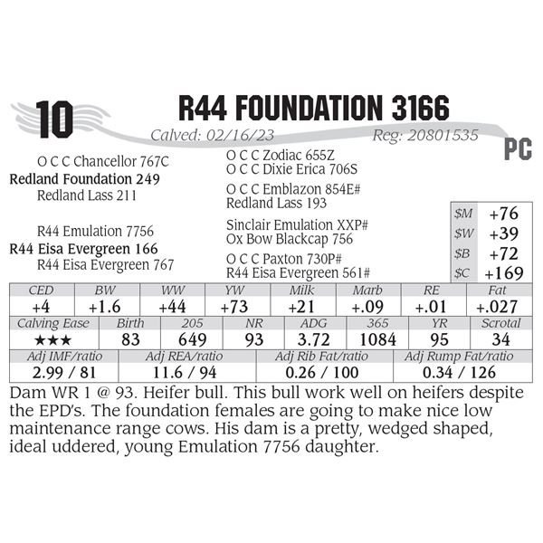 R44 Foundation 3166