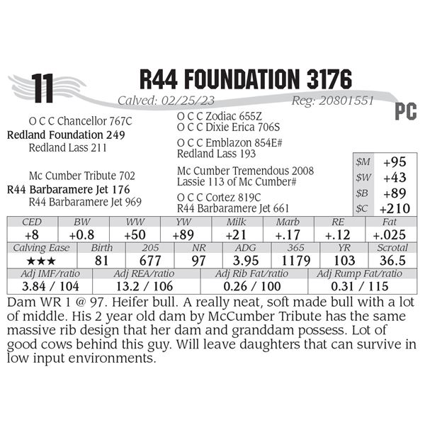 R44 Foundation 3176