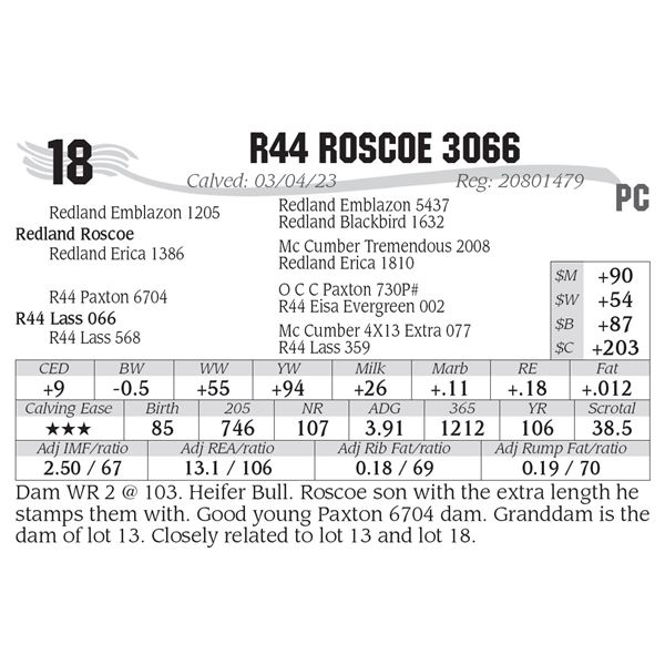 R44 Roscoe 3066