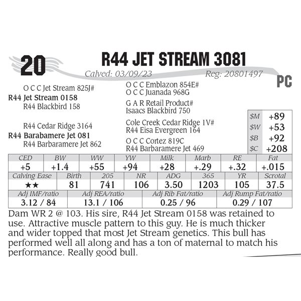 R44 Jet Stream 3081