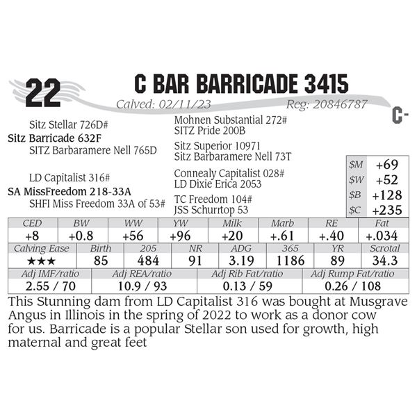 C Bar Barricade 3415