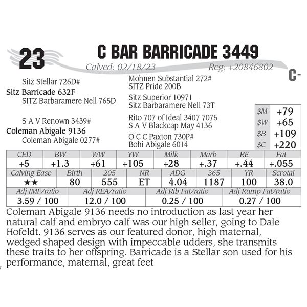 C Bar Barricade 3449