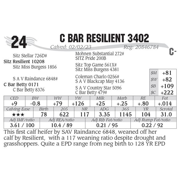 C Bar Resilient 3402