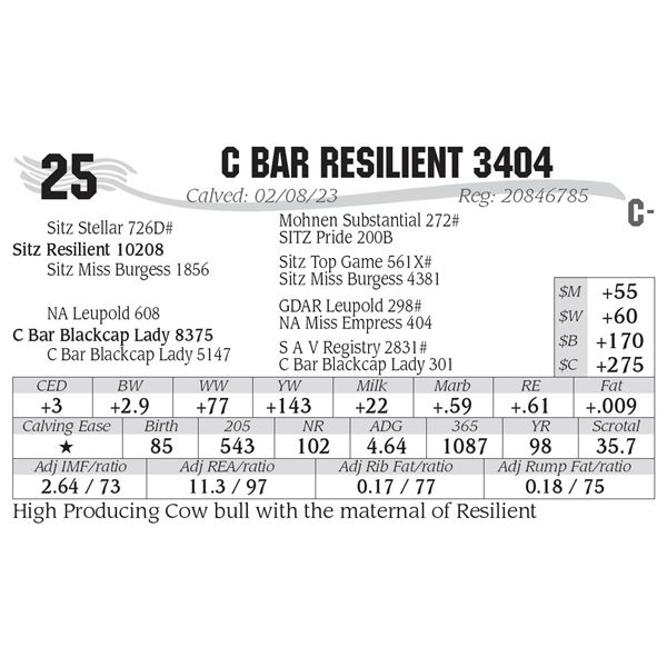 C Bar Resilient 3404