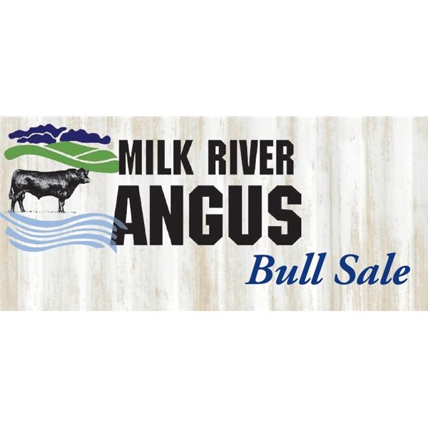 MILK RIVER ANGUS LOT 26