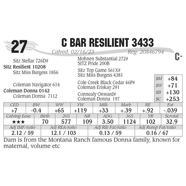 C Bar Resilient 3433