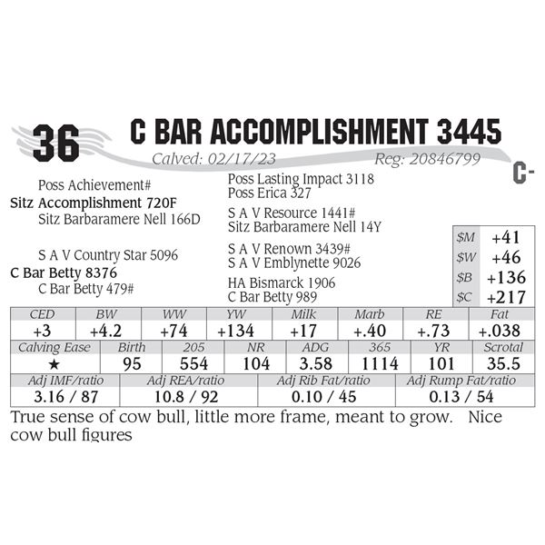 C Bar Accomplishment 3445