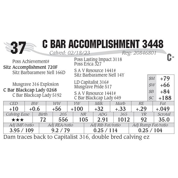 C Bar Accomplishment 3448