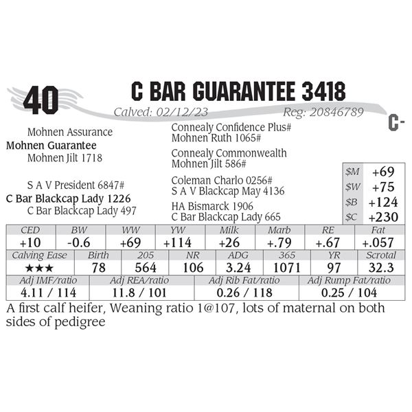 C Bar Guarantee 3418