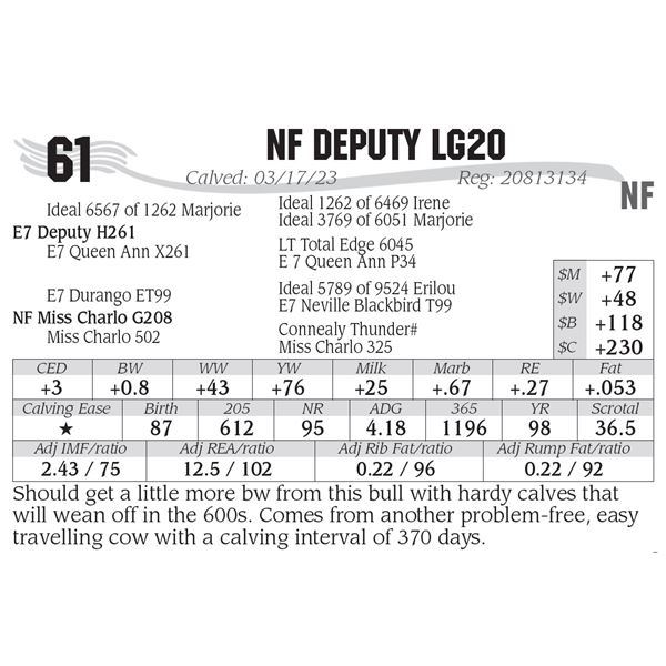 NF Deputy LG20