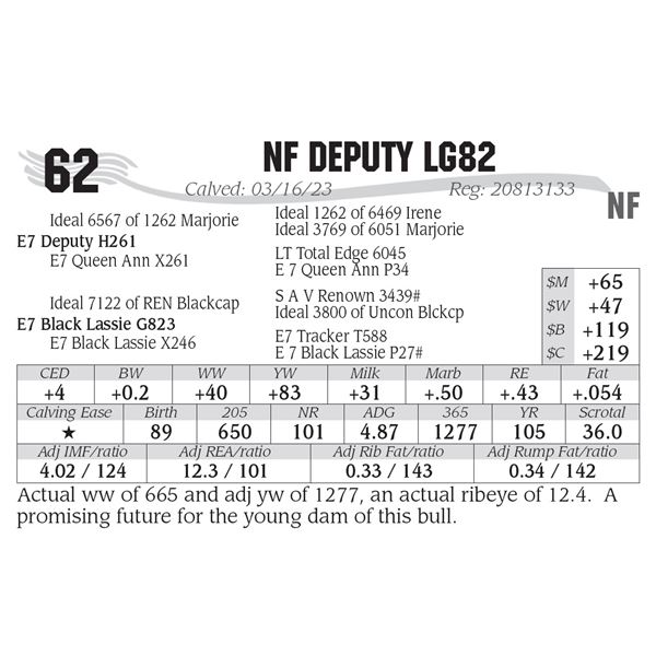 NF Deputy LG82