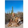 Image 1 : Desert Bighorn (Weemsi) Sheep Hunt, Carmen Island, Mexico