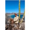 Image 2 : Desert Bighorn (Weemsi) Sheep Hunt, Carmen Island, Mexico