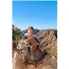 Image 3 : Desert Bighorn (Weemsi) Sheep Hunt, Carmen Island, Mexico