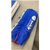 Image 2 : BEAN BAG TOSS  GAME AND BOCCE SET