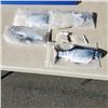 Image 1 : 4 NEW 12" WIGGLY FISH RECHARGEABLE CAT TOYS WITH CAT NIP RETAIL $17.99 EACH