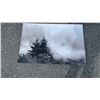 Image 2 : 4 CANVAS PRINTS AND FRAMED PRINT