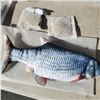 Image 2 : 4 NEW 12" WIGGLY FISH RECHARGEABLE CAT TOYS WITH CAT NIP RETAIL $17.99 EACH