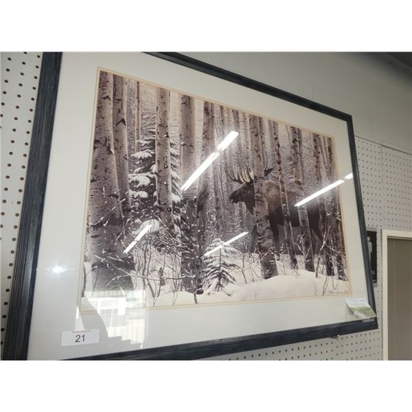 "A Walk in the Woods" by Stephen Lymen