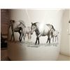 Image 3 : horse print "young and restless" glass canisters