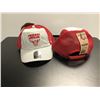 Image 2 : Group of 2 NBA Chicago Bulls '47 Brands caps w/ tags