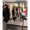 Image 1 : Rack of Set Dec Gloves From Project Bluebook ($1000 Value)