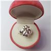 Image 4 : $100 Silver Ring
