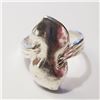 Image 1 : $100 Silver Ring