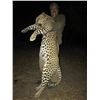 Image 10 : Leopard’s Valley donates Big game Safari (7) day / (6) night for 1 hunter,1 observer. Val. $8,100