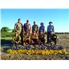 Image 2 : Argentina Dove Shooting for 4 Hunters for 4 Days