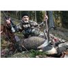 Image 2 : Austrian Big Game hunt for 2 Hunters for 4 Days with FN Hunting
