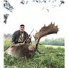 Image 4 : Austrian Big Game hunt for 2 Hunters for 4 Days with FN Hunting