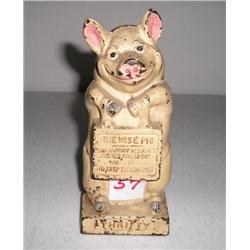 The Wise Pig (White)