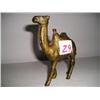 Image 1 : Camel