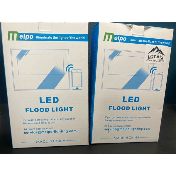 Lot of 2 LED Flood Lights