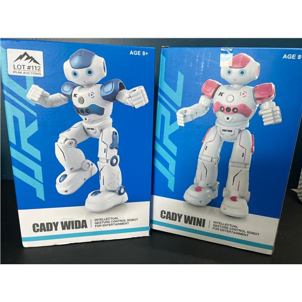 Lot of 2 Remote Control Robot Toys