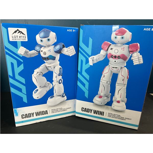 Lot of 2 Remote Control Robot Toys